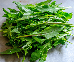 ARUGULA CULTIVATED