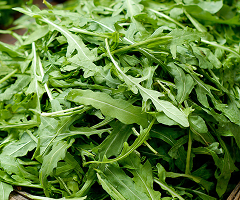 ARUGULA WILD
