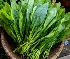 Green Sorrel Chakwat
