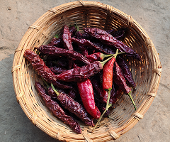 MG MYRA KASHMIRI CHILLI