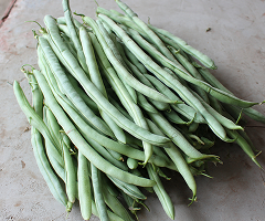 WHITE PEARL FRENCH BEAN