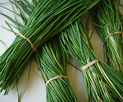 Chives