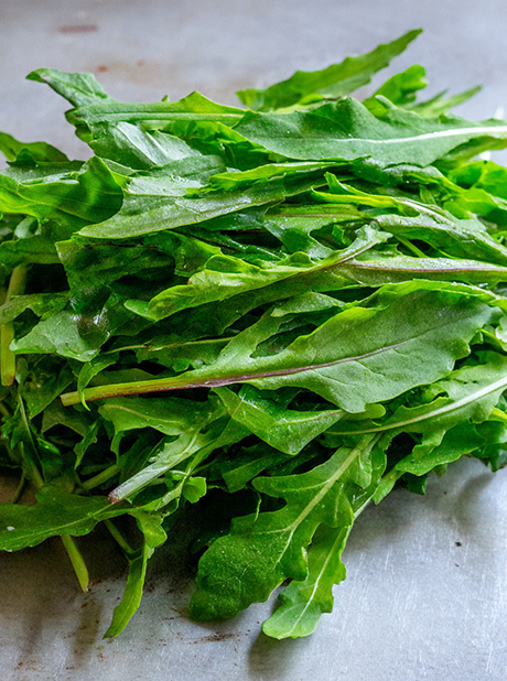 ARUGULA CULTIVATED