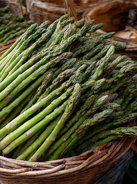 Asparagus mw
