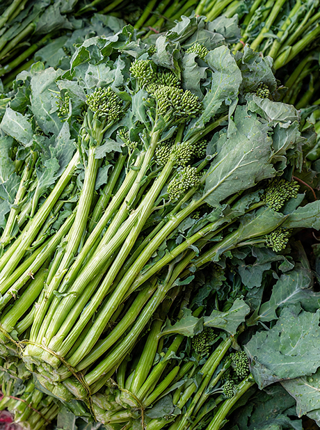 Broccoli Raab