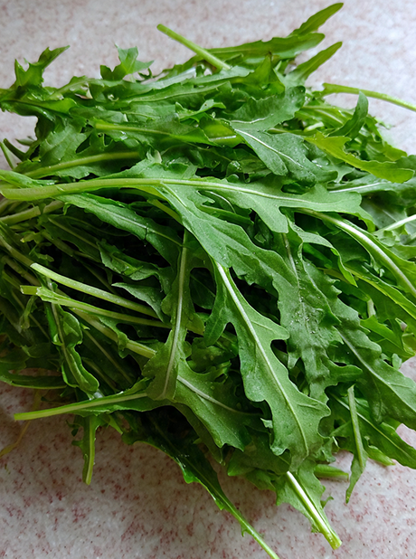 ARUGULA WILD IMPROVED