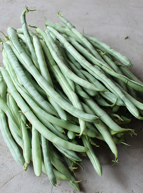 WHITE PEARL FRENCH BEAN