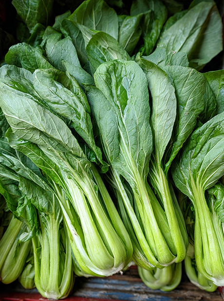 PAKCHOI GREEN STEM
