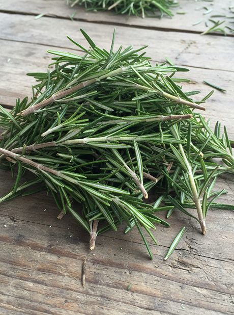 ROSEMARY
